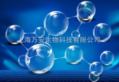 小鼠前列腺癌細(xì)胞在生物科技研究中的應(yīng)用